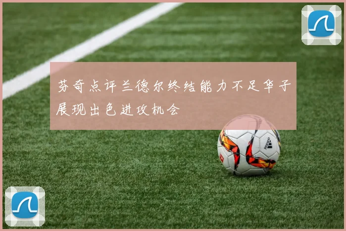 芬奇点评兰德尔终结能力不足华子展现出色进攻机会