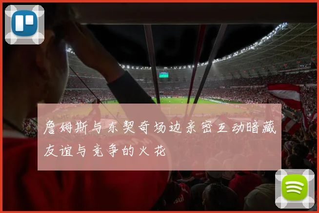 詹姆斯与东契奇场边亲密互动暗藏友谊与竞争的火花