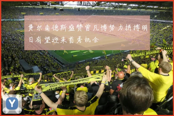 费尔南德斯盛赞曾凡博努力拼搏明日有望迎来首秀机会