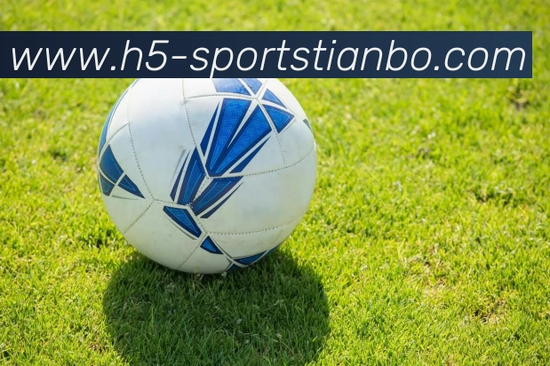 天博体育平台生态图